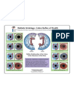 Iridiagnosis Iridology Chart 1 PDF