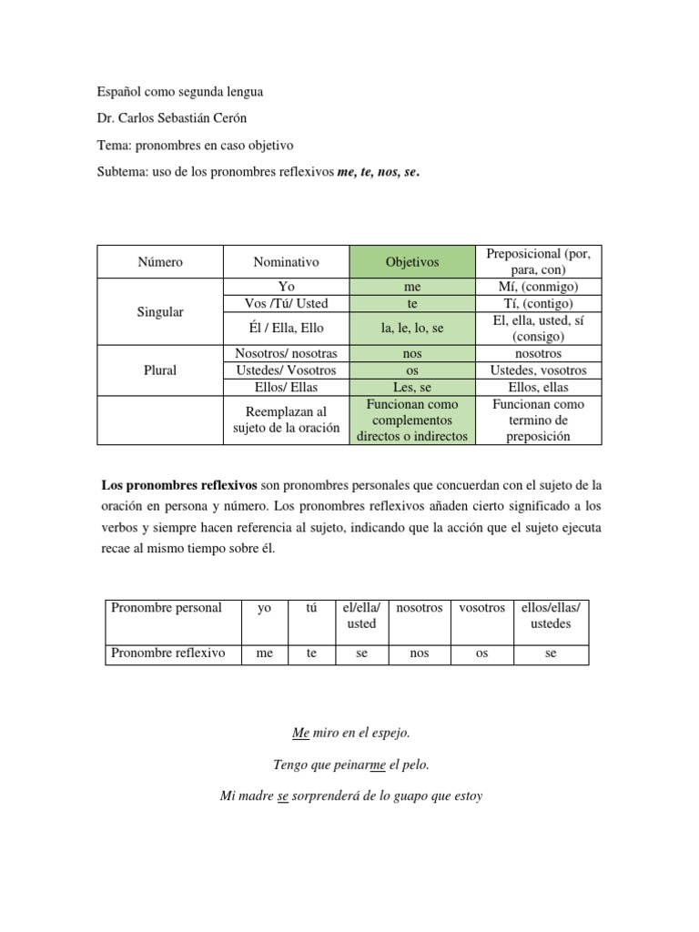 Pronombres Reflexivos en Español | PDF | Verbo | Asunto (gramática)