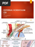 External Hordeolum OD: Oleh: A.A.A Lie Lhianna M.P H1A013001