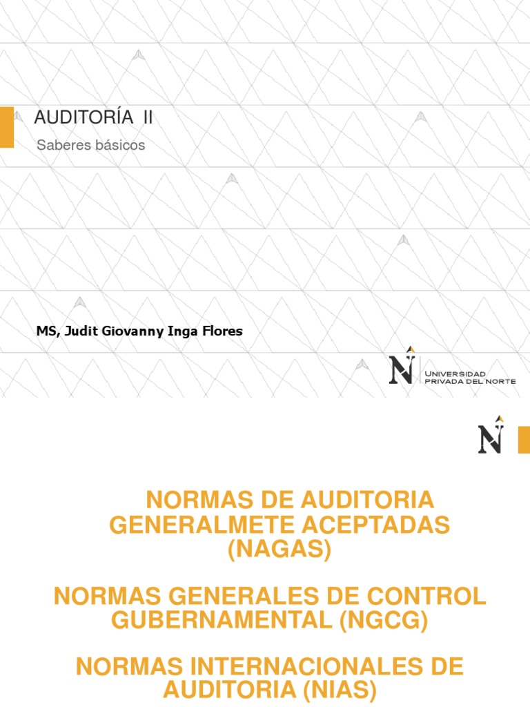 Nagas Nias Ngcg Upn Okpdf Auditoría Contralor Auditor