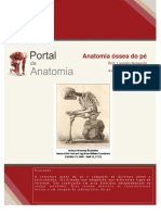 anatomiasseadop-120627155422-phpapp01.pdf