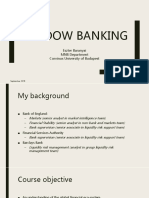 1. Baranyai Eszter_Shadow Banking (1)