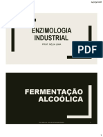 Tecnologia Das Fermentações