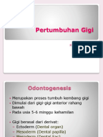 Pertumbuhan Gigi