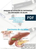 carcinoma vía biliar