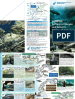 En Pamphlet PDF