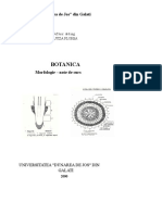 Botanica - Morfologie - Note de Curs