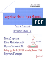 Semertzidis Dipole Moments