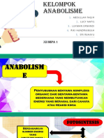 Anabolisme