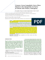 Anterior Knee Pain Nerve Fibres