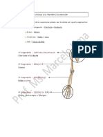 Apostila de Osteologia Dos Mmss e Mmii