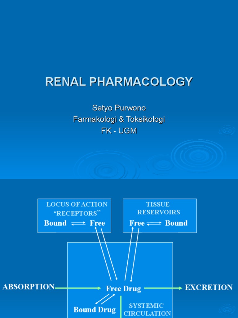 Renal Drug Dosing Guide | PDF | Renal Function | Kidney