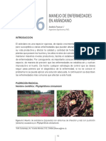 Arandano.pdf