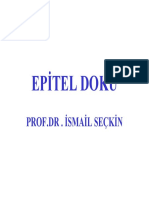 Epitel Doku