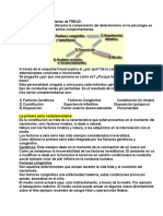 La Series Complementarias de FREUD