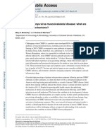 chikungunya-musculoskeletal.pdf