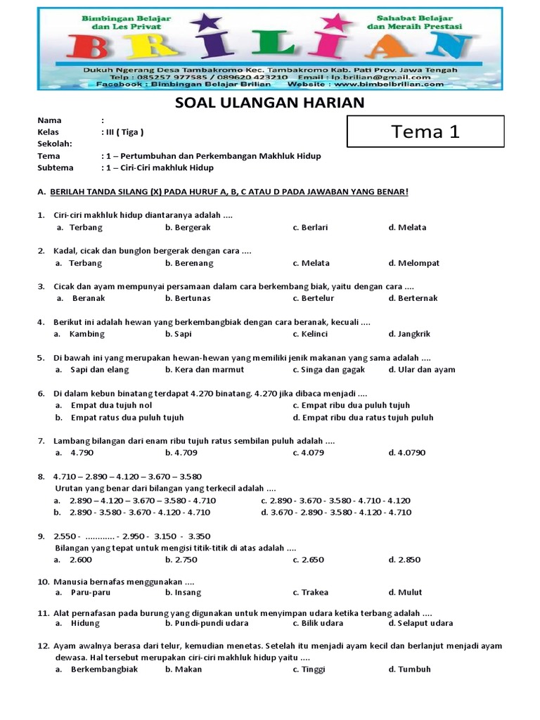 Pendahuluan: Memahami Pentingnya Latihan Soal K13 Kelas 3 SD