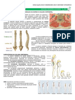 2 - Dorso.pdf