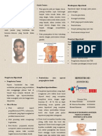 Leaflet Tiroid Warna PDF