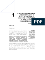65865325-Capitulo-1-A-sociologia-aplicada-a-administracao.pdf