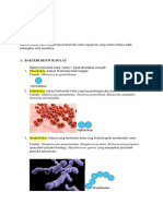 Tugas Blok IPT Bacterie