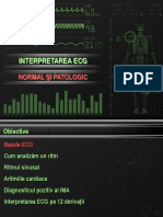 ECG Part 1