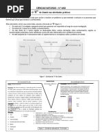 Guião v Gowin CN9 A4