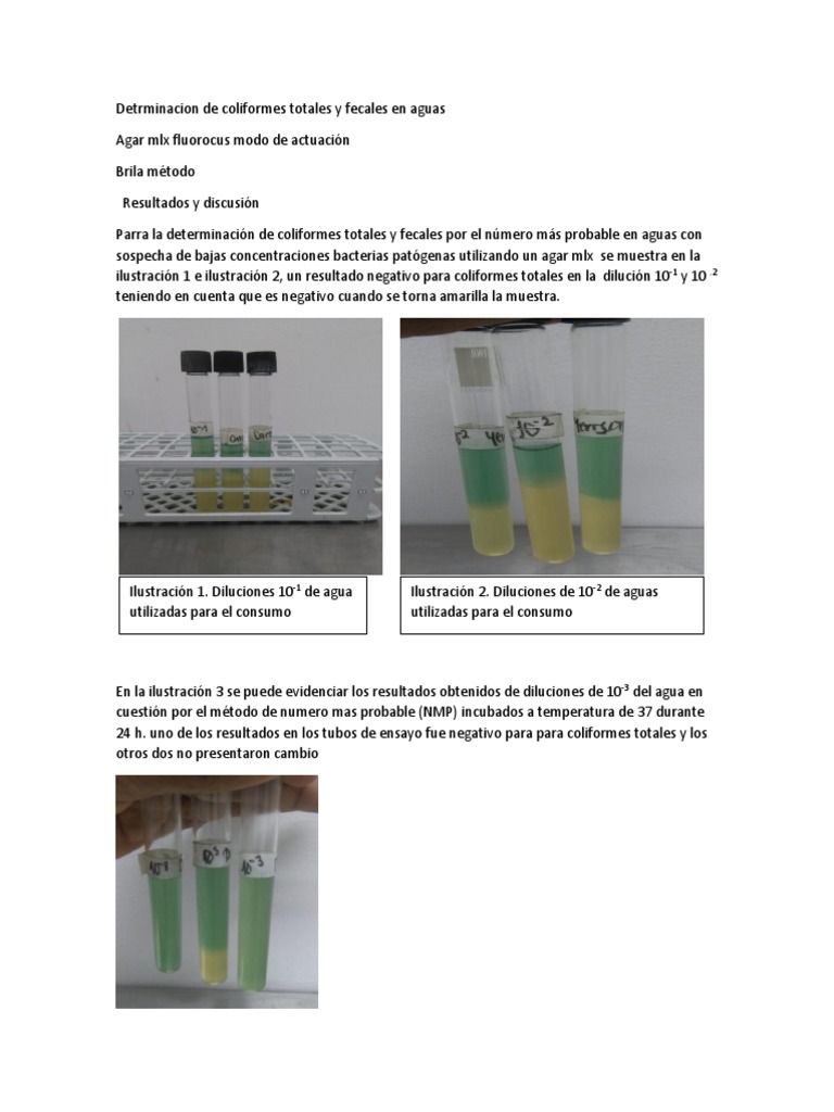Determinación de coliformes en aguas | PDF