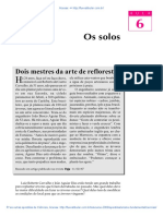 06 Os Solos PDF