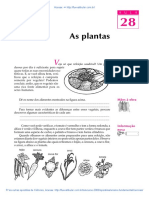 28 As Plantas PDF