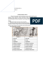 Tugas Lks Reproduksi (Siti Maulida Xi Ipa 5)