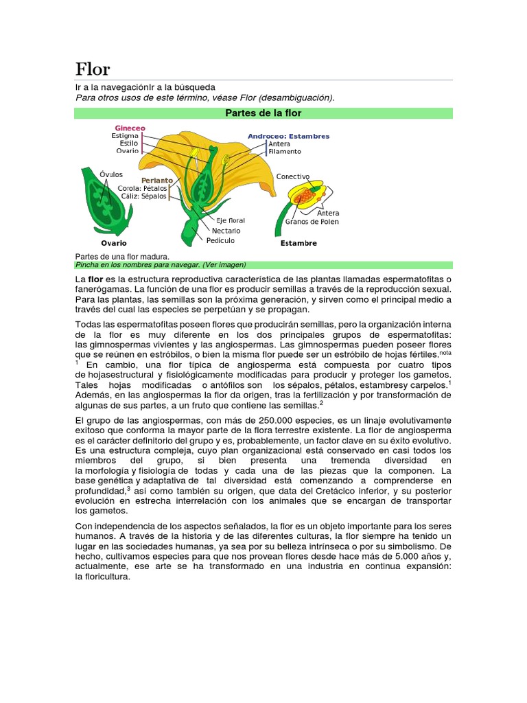 Partes y funciones de la flor | PDF | Flores | Polinización