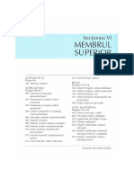 Membrul Superior Netter PDF