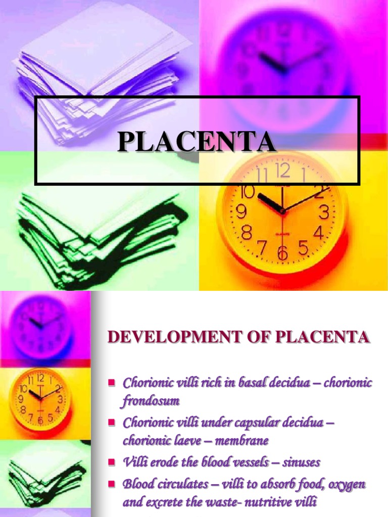 Development of Placenta | PDF