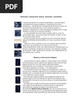 Download El cabello by ato682 SN38925495 doc pdf