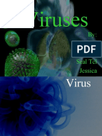 Viruses: By: Dennie Grace Seal Tel Jessica