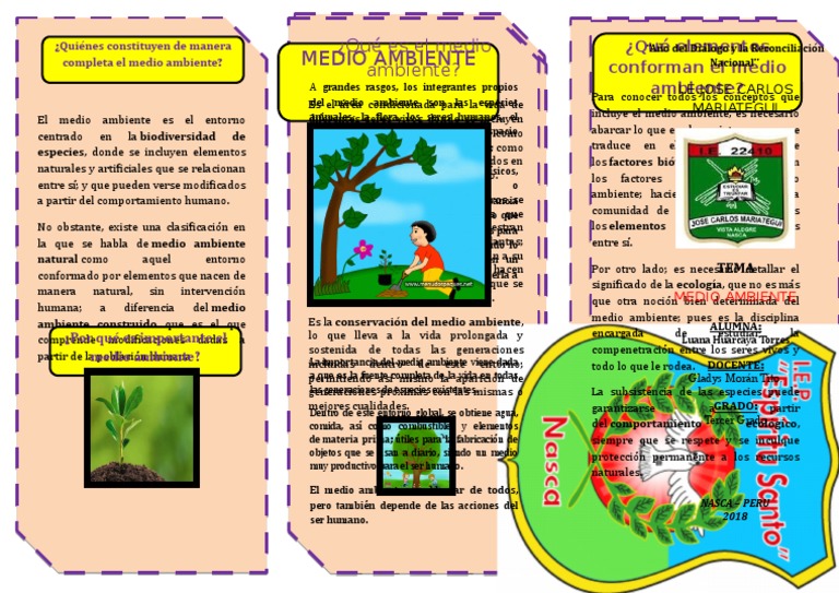 TRIPTICO Medio Ambiente. | PDF | Entorno natural | Vida