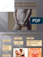 Anatomia de Aparato Re Product Or Fem.