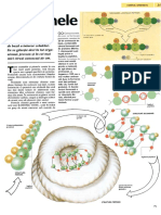Proteinele.pdf