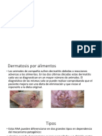Expopsicion Patologia Sistemica