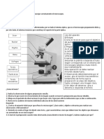 Introducción Al Uso Del Microscopio