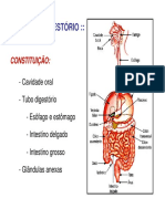 digestorio1.bio.pdf