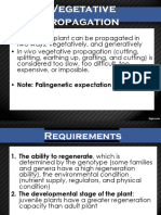 KIVT Vegetative Propagation