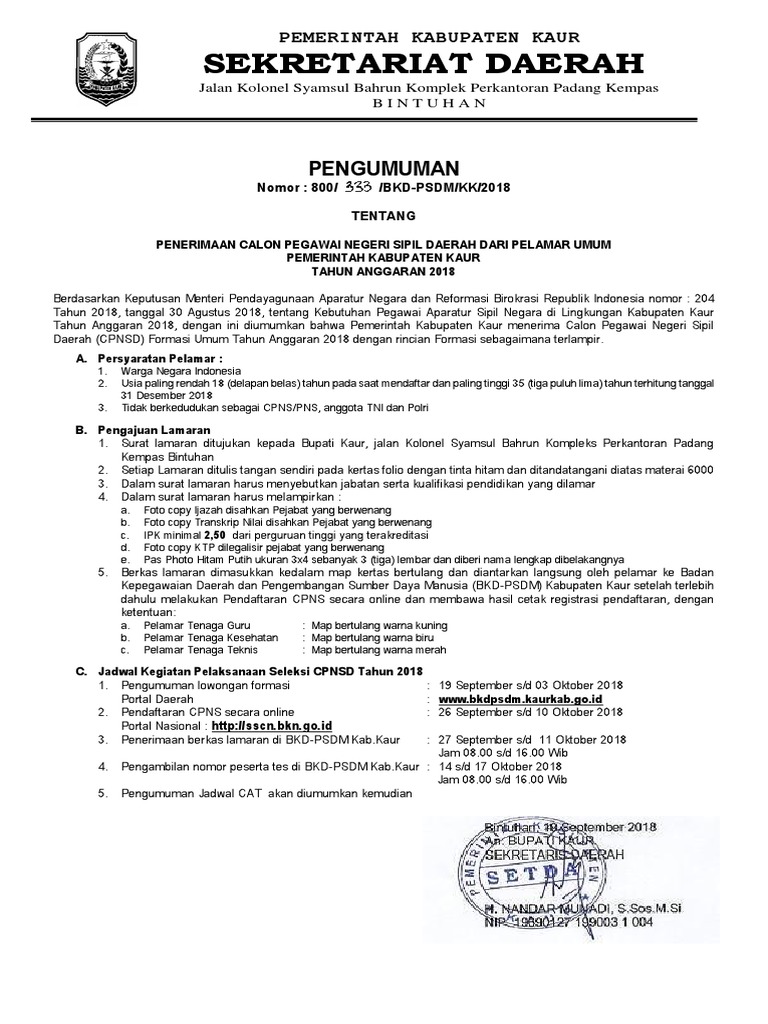 PENGUMUMANCPNS2018FINAL.pdf