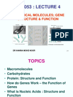 Lecture 4 (Cell  Mol Biology - Biological Molecules_ gene structure  function).ppt