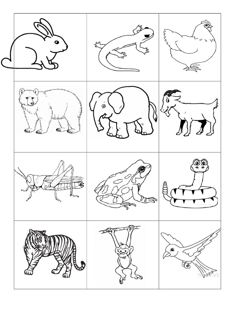 Gambar Haiwan Comel | PDF