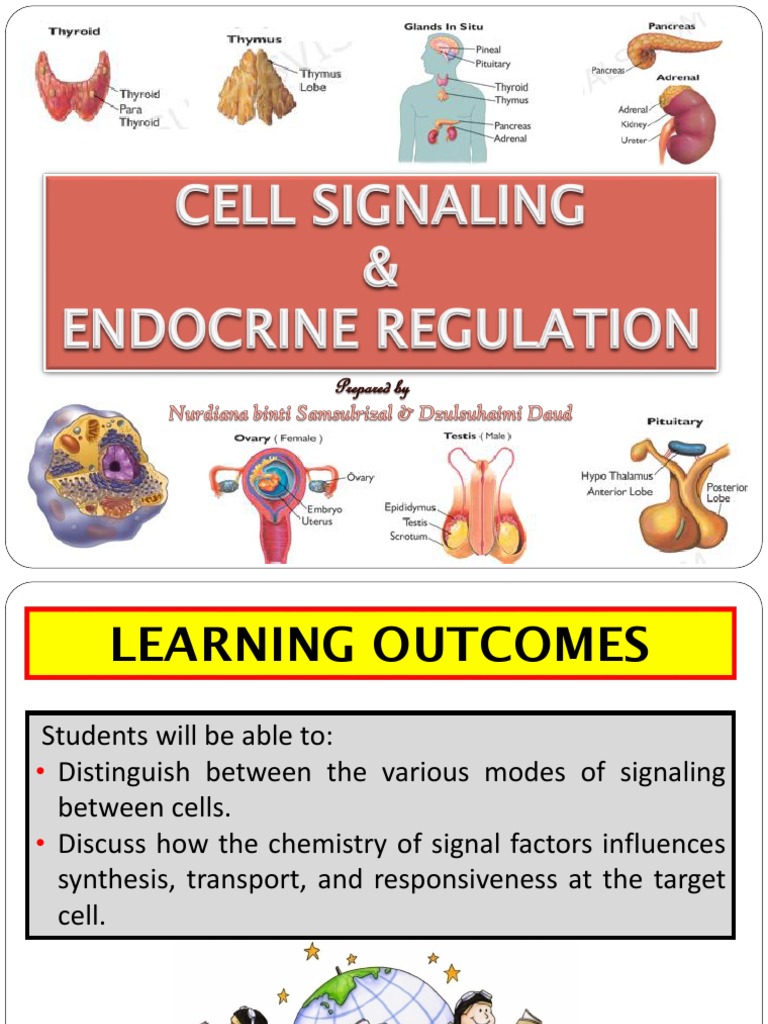 Mechanisms of Cellular Signaling | PDF | Cell Signaling | Hormone