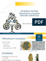 Interakaksi Antara Metarhizium Anisopliae Dengan Serangga