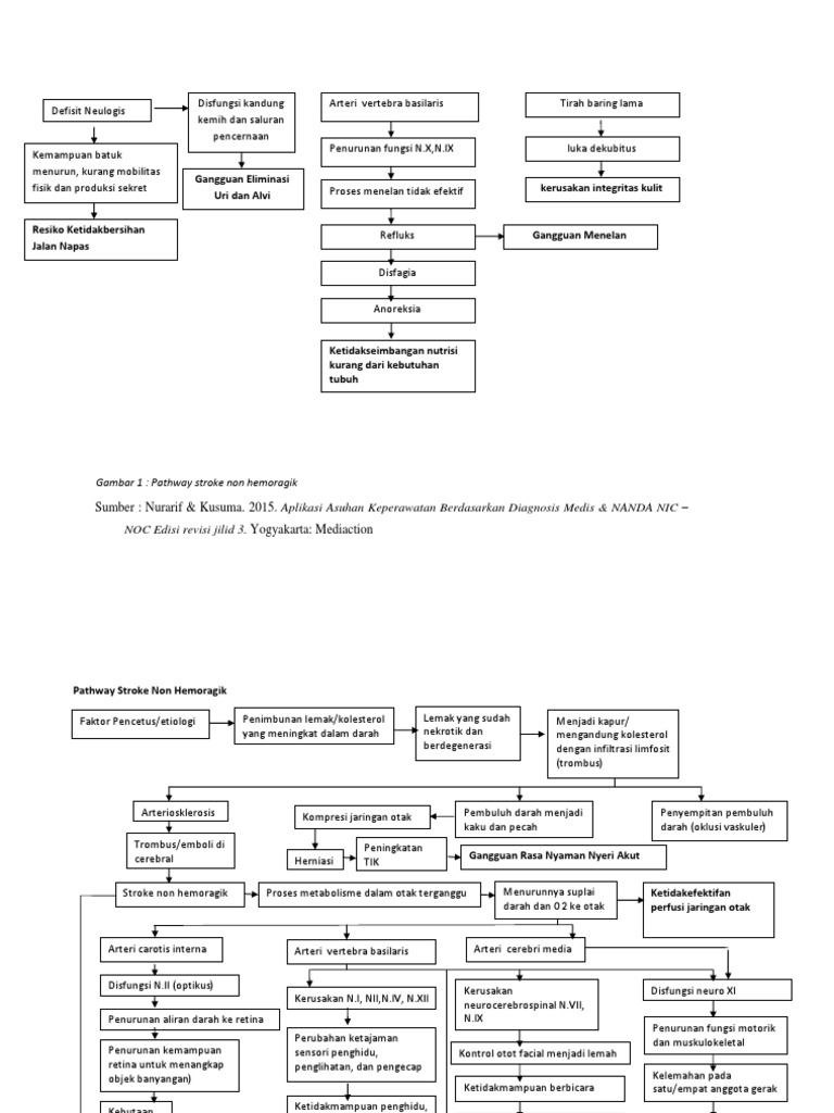 Pathway SNH | PDF