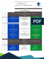 Programa Seei Final